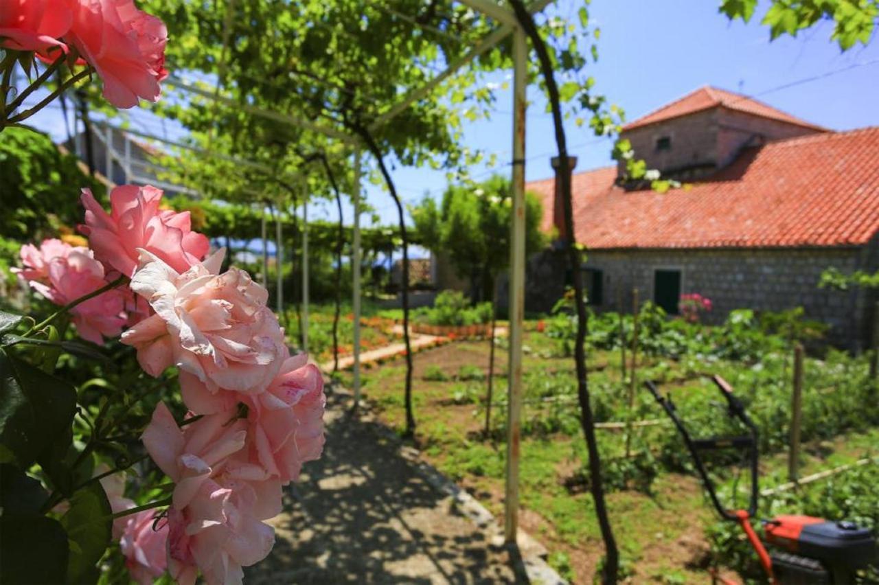 Apartment&Rooms Savonari Orasac Buitenkant foto