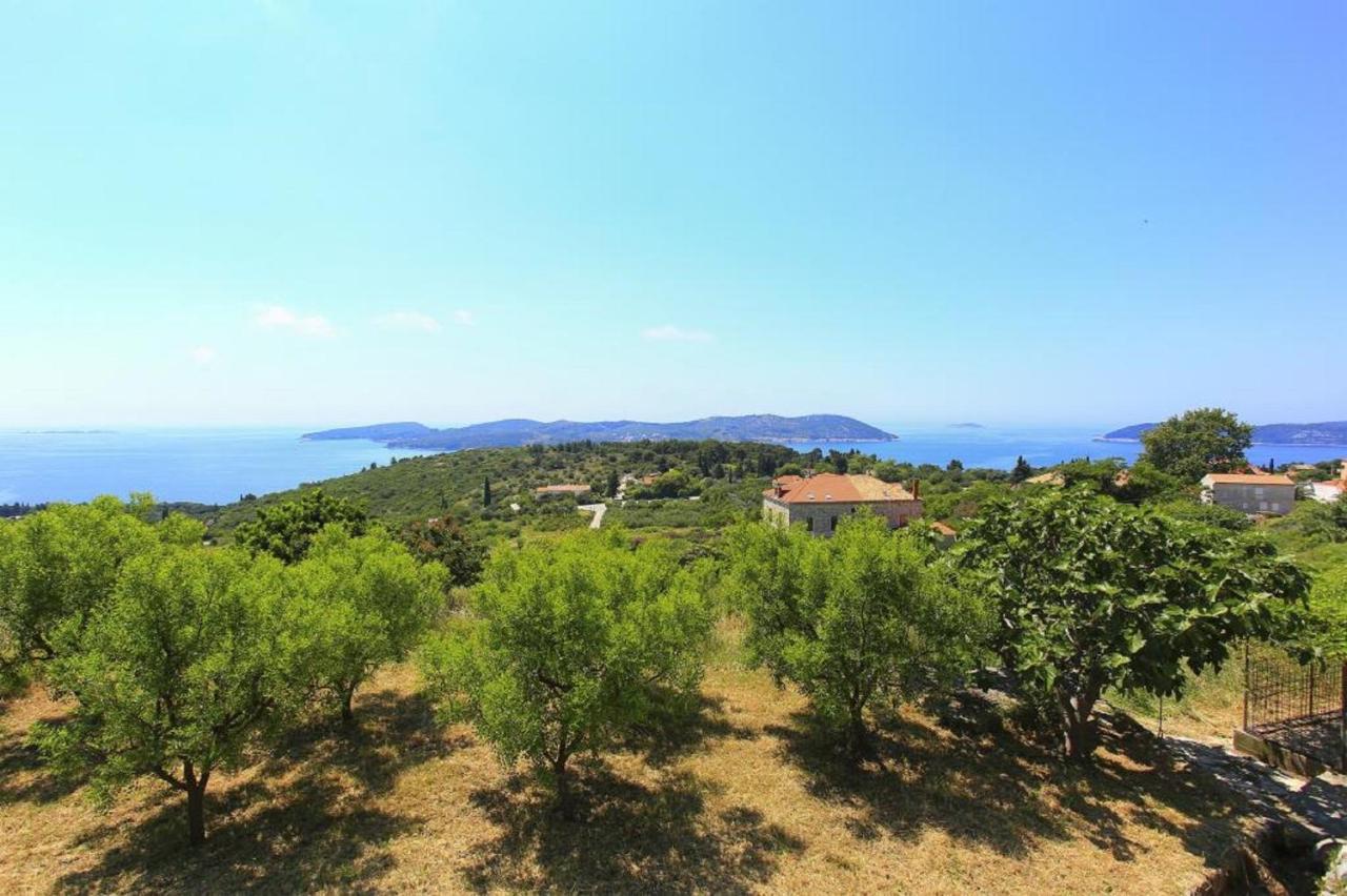 Apartment&Rooms Savonari Orasac Buitenkant foto